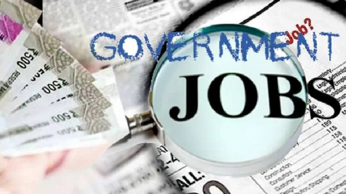 Government Job