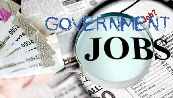 Government Job