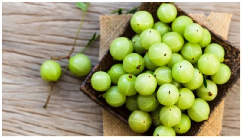 Amla Magic: Transform your menstrual experience with nature's healing benefits! NTI