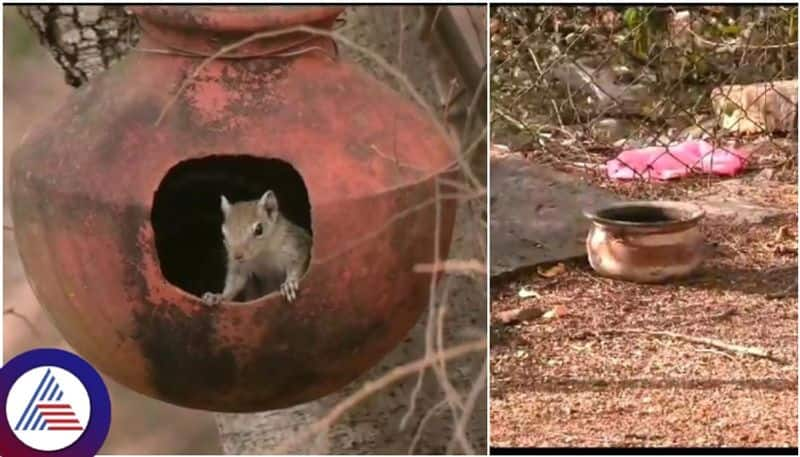 Jogimatti sanctuary wildlife are desperate of water in Before summer at Chitradurga sat