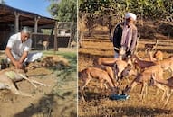 Piraram Dhayal: Inspiring journey of a puncture repair shop owner who has dedicated his life to the rescue of wild animals iwh