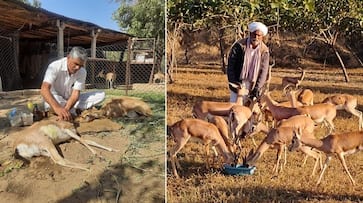 Piraram Dhayal: Inspiring journey of a puncture repair shop owner who has dedicated his life to the rescue of wild animals iwh