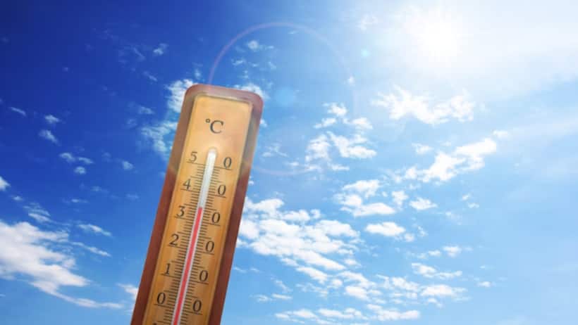 Kerala: Rise in temperature poses risks of sunburn, hydration; Check