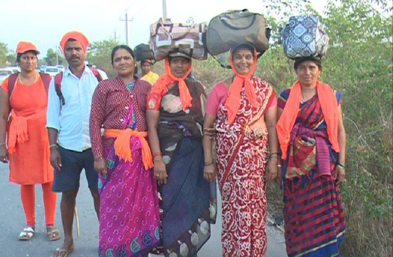 Lakhs of devotees walk for Shivaratri festival in Chikkamagaluru gvd