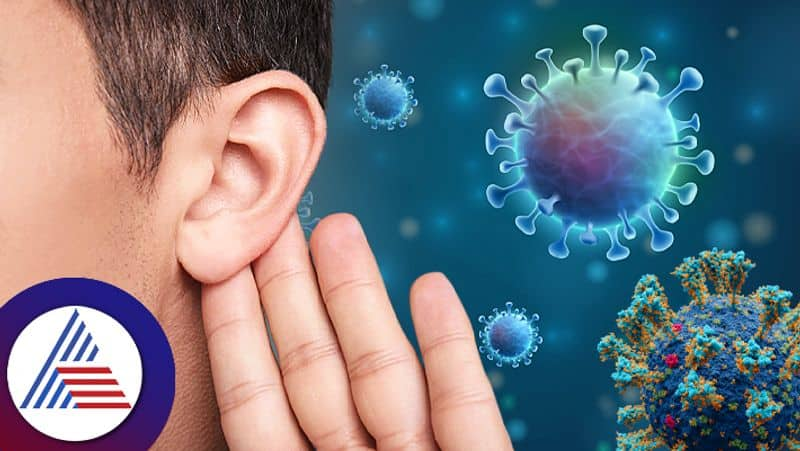 Virus Remains In The Ear For A Month After Covid Infection Research roo