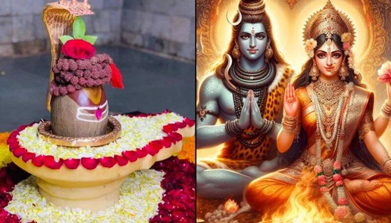 maha shivratri 2024 mahashivratri upwas vidhi maha shivratri par vrat kaise karen kxa 