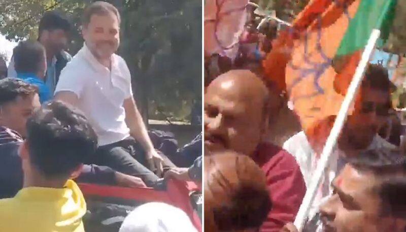 BJP cheers disrupt Rahul Gandhi's yatra; Responds to 'Modi-Modi' chants in Madhya Pradesh (WATCH) AJR