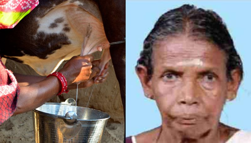 74 year old women injured while milking cow dies in hospital etj