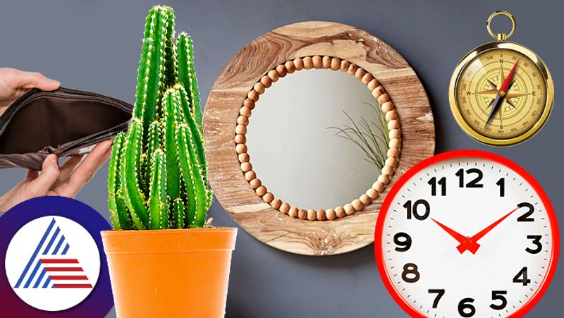 cactus clock and these items should not be gifted as per Vastu Shastra sum