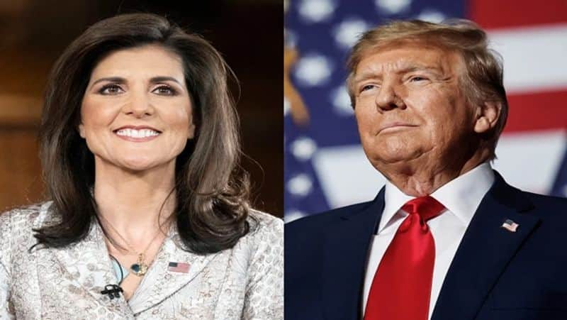 Nikki Haley likely to withdraws from US presidential candidate race donald trump to contest against joe biden smp