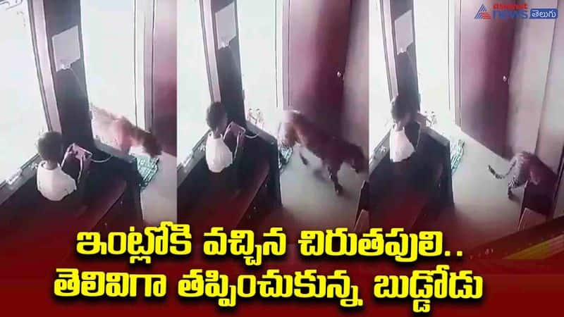 The boy locked the leopard in the house.. The video has gone viral..