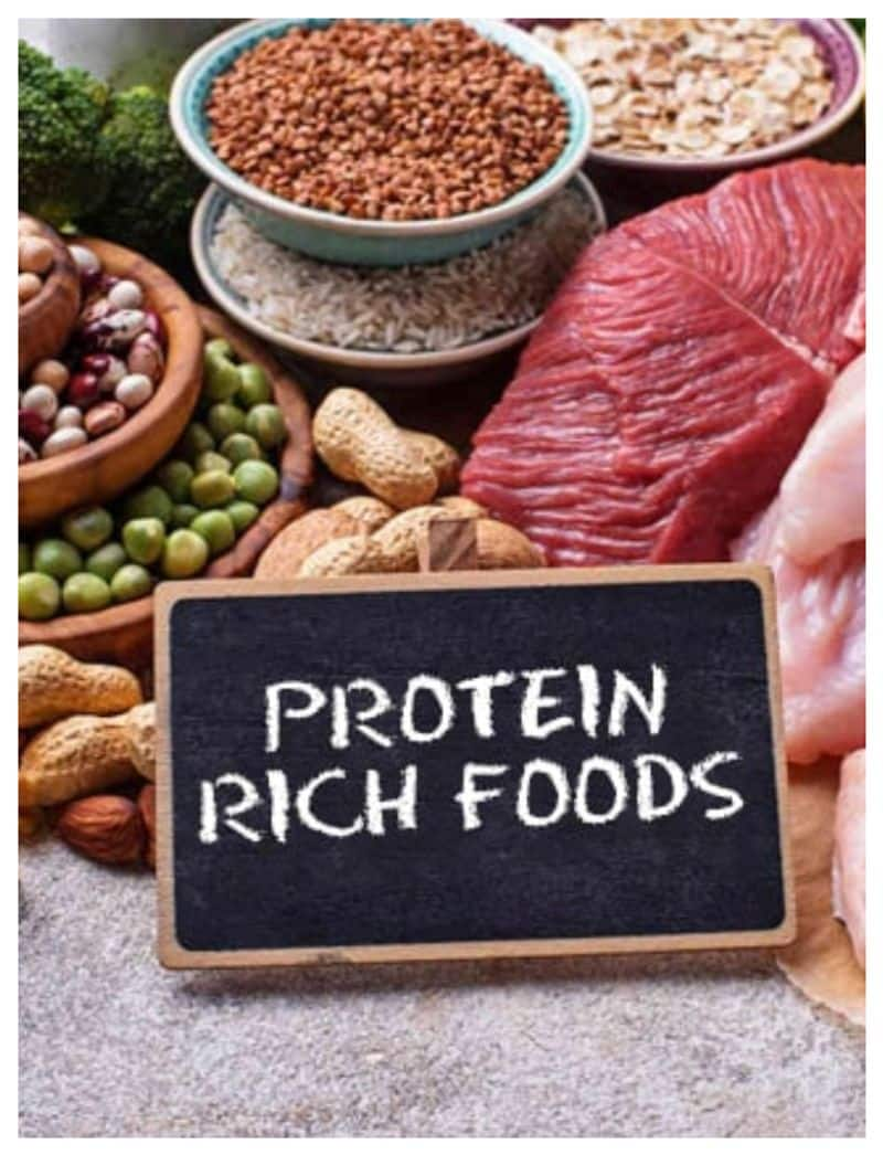 protein rich foods for weight lose 