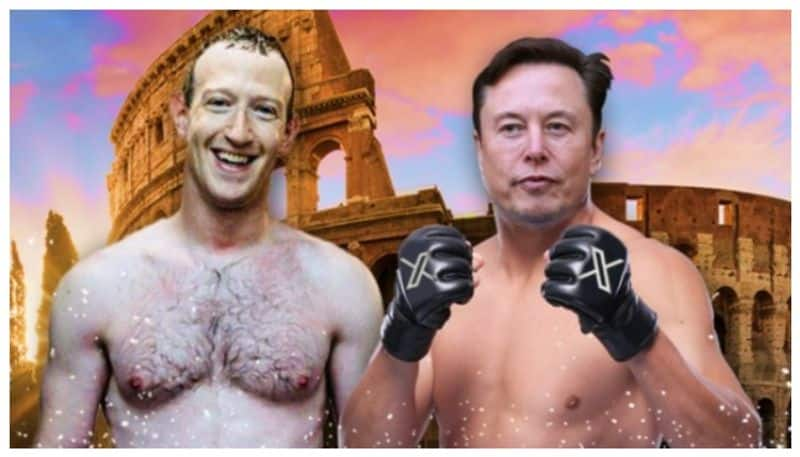 Musk calls Zuckerberg to fight again  