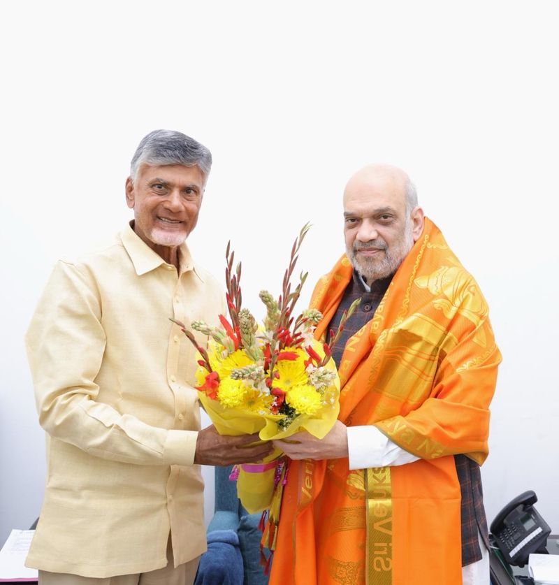 Andhra Pradesh Assembly Elections  2024:Chandrababu naidu and Pawan Kalyan meet Union Minister Amit Shah lns