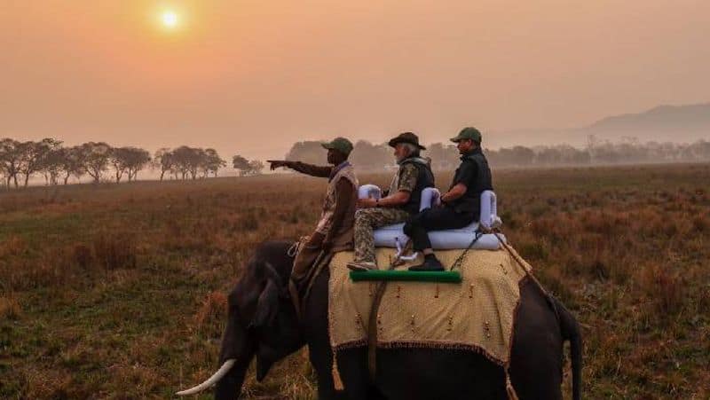 PM Modi visited Kaziranga National Park in Assam at five in the morning and took part in an elephant-riding jeep safari; view pictures-rag