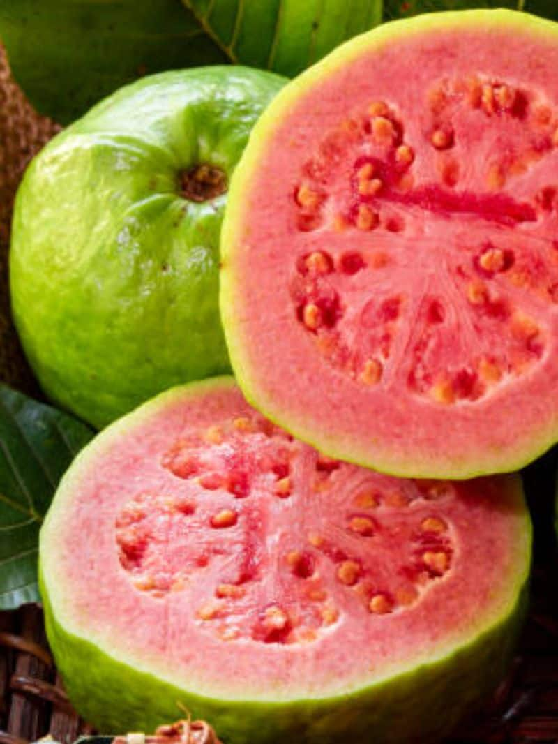 Health benefits of eating guava daily in tamil Rya