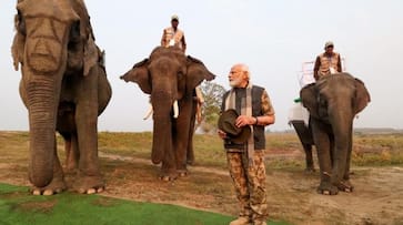 PM Modi Assam Arunachal Pradesh visit prime minister narendra modi visited kaziranga national park inaugurated tunnel will worship at Baba Vishwanath in Kashi XSMN