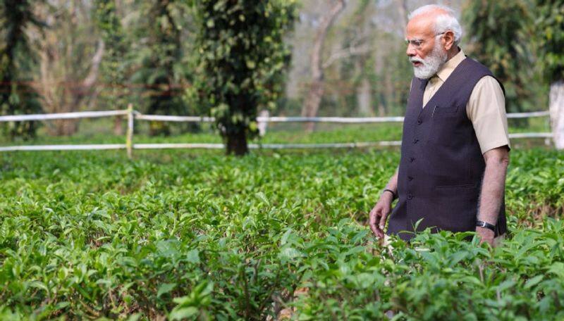 PM Narendra Modi visited tea gardens in assam and described it beauty ans