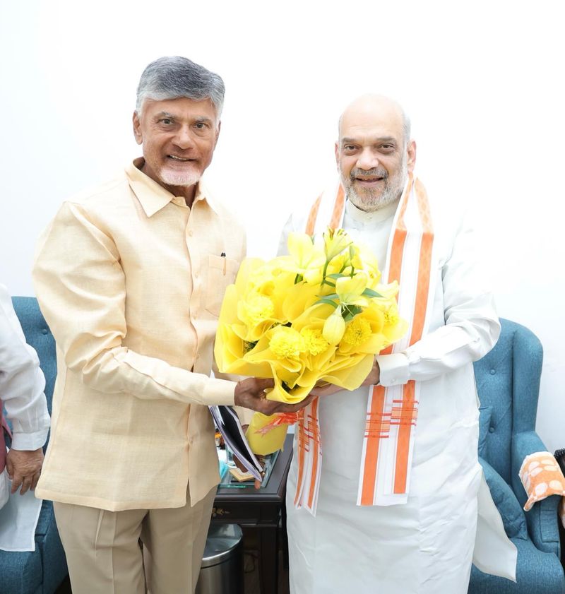 BJP-TDP-Jana Sena Alliance Announced; Naidu Ready to Give Up 8 Lok Sabha and 30 Assembly Seats lns