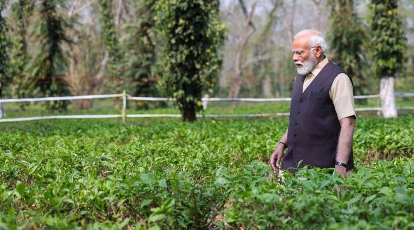 2024 Mood of the Nation Survey: Manipur issue Modi govt's biggest failure; Middle class sends a loud message
