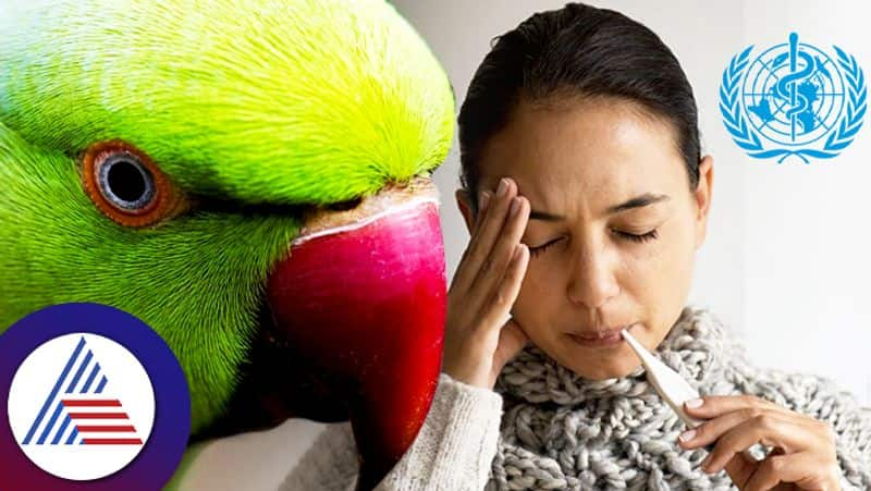 Parrot fever in Europe know about it causes and symptoms pav