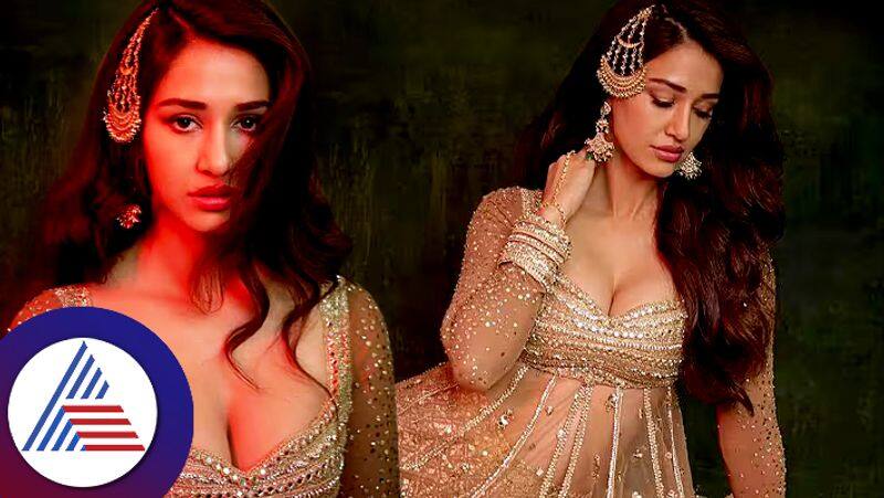 SEXY photos Disha Patani flaunts ample cleavage in shimmery blouse take a look Rao