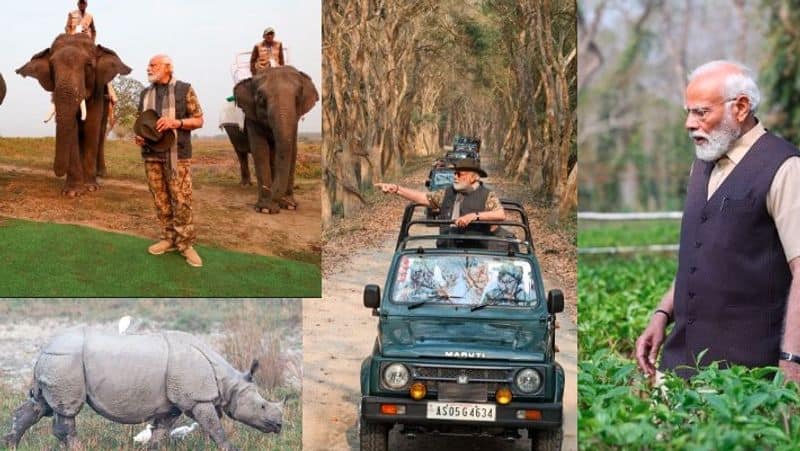 PM Modi strongly promotes Assam's Kaziranga National Park: Share beautiful photos and Asks people to visit once akb