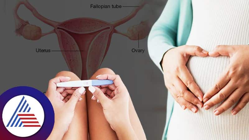 Hostile uterus is the main reason for infertility in women pav