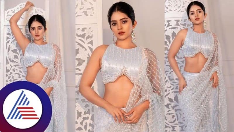 Kannada Actress Megha Shetty Photoshoot In Silver Color Transparent Saree See Her Pics gvd