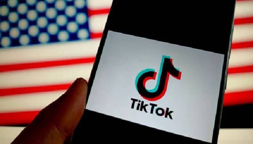 'Make your voices heard...' TikTok CEO reaches out to American users after House vote (WATCH)