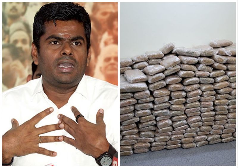 Trichy Customs Preventive seizes 100 kilograms of Hashish worth Rs 110 Crores vel