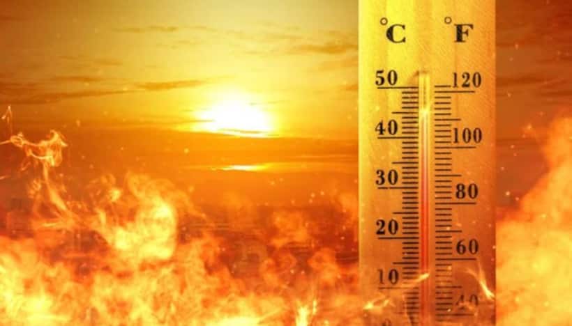 Kerala: IMD issues high-temperature warning in various parts of state today