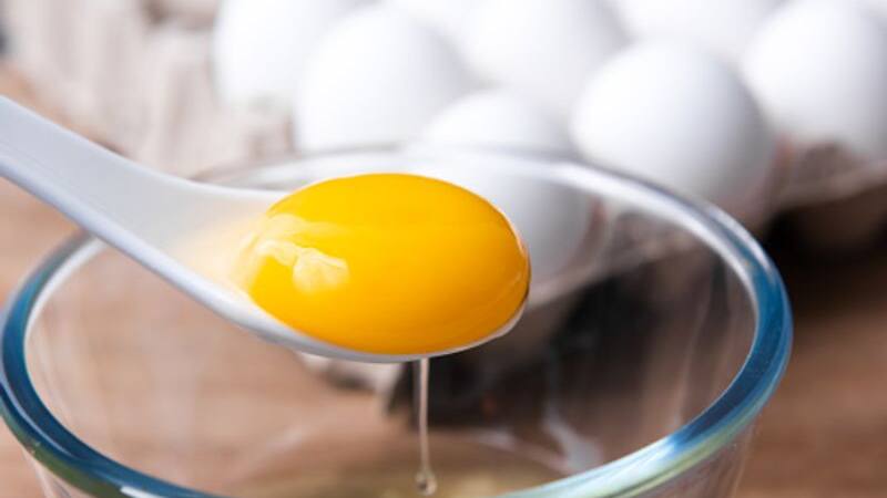 egg yolk