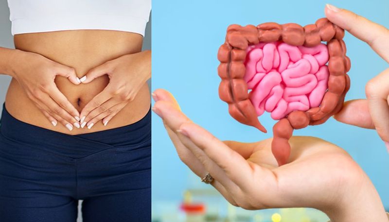 Expert suggested ways to keep Gut clean and healthy