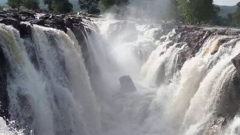 Tourists flock as ban lifted on visiting Hogenakkal waterfalls near Karnataka-Tamil Nadu border vkp