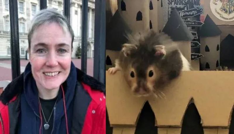 this woman takes her dead pet hamster on Europe tour rlp 