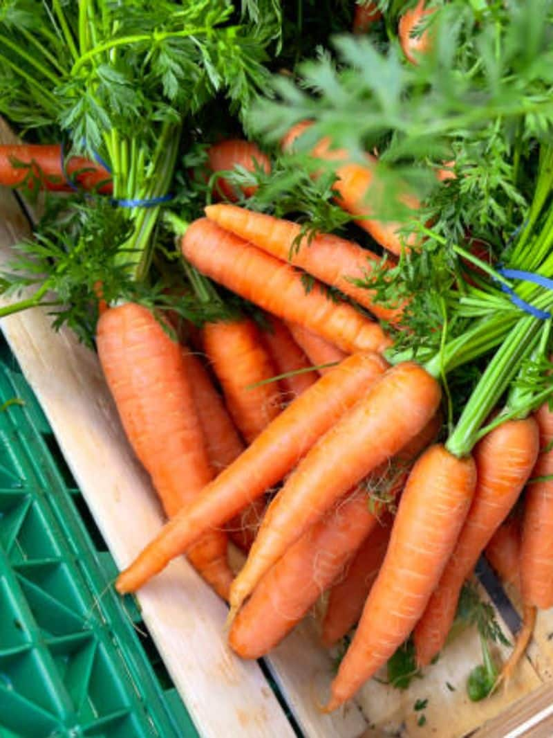 Ooty Carrot Prices Soar to New Heights Due to Deepavali Demand gow