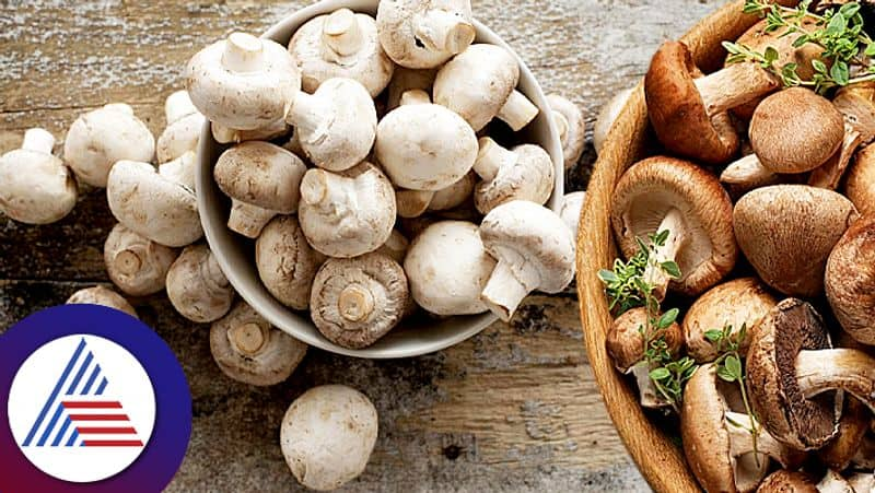 Benefits of having mushroom to be healthy and fitness pav