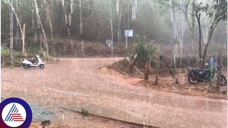 Karnataka First Rain