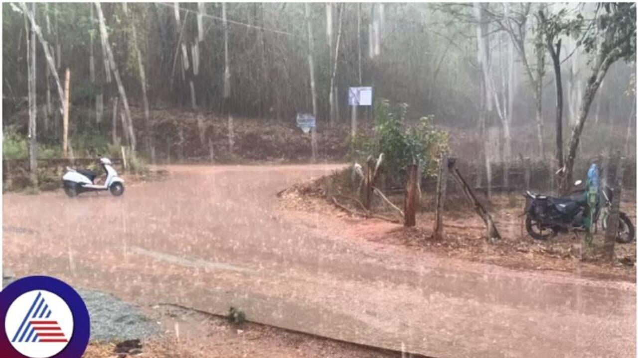 Karnataka First Rain