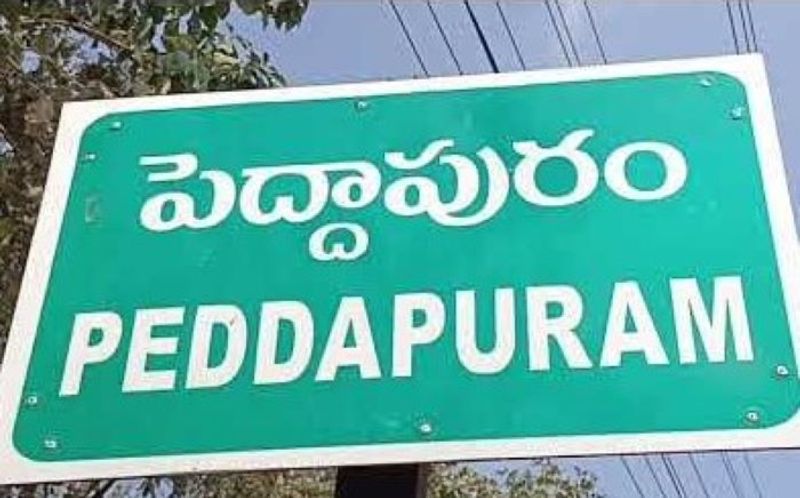 Peddapuram assembly elections result 2024 RMA