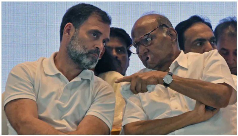 Kerala Lok Sabha Election Results Live 2024 sharad pawar response after lok sabha election result  