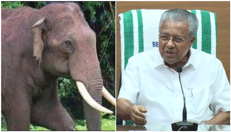 kerala cm pinarayi vijayan says about wild animal attack prevention measures joy