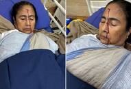 west bengal cm mamata banerjee injured latest  update zrua