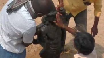 Rare idol of Lord Murugan in Brahmasastha form unearthed by boys playing near Tamil Nadu river (WATCH)