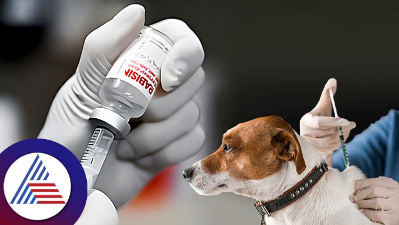 Someone still die by Rabies after receiving vaccination