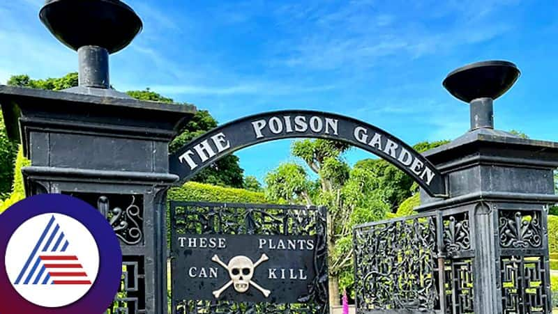 The Poison Garden: A Tour of Alnwick's Deadly Plants rav