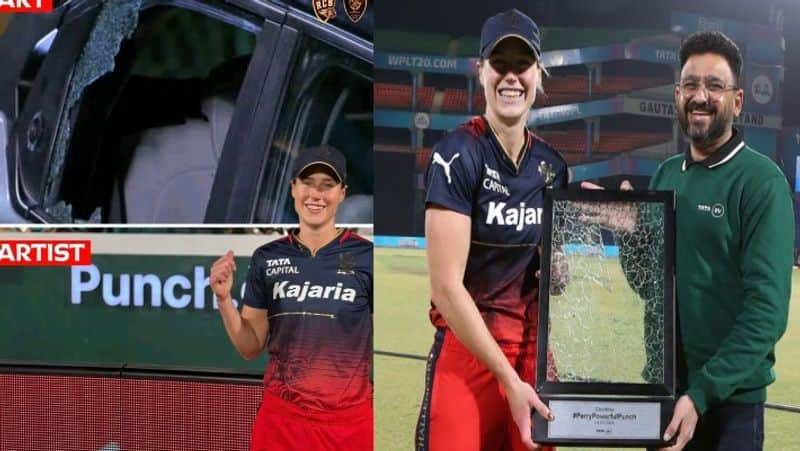 WPL 2024 Ellyse Perry gifted broken car window by TATA Mooters after eliminator win against Mumbai Indians kvn