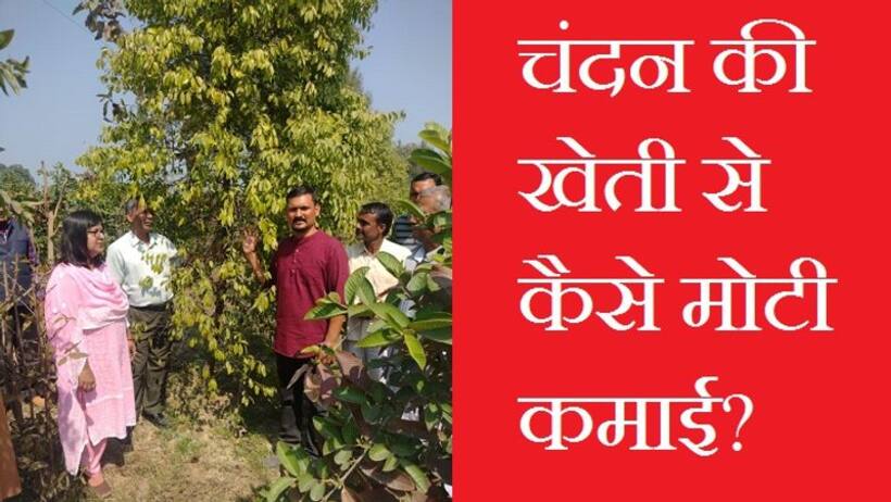 अफसर बना किसान: असिस्टेंट कमांडेंट की नौकरी छोड़ शुरु की खेती, गांव में मोटी कमाई को दिखा रहे कमाल की राह