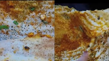 SHOCKING! Woman finds 8 cockroaches in dosa served at a Delhi Restaurantrtm